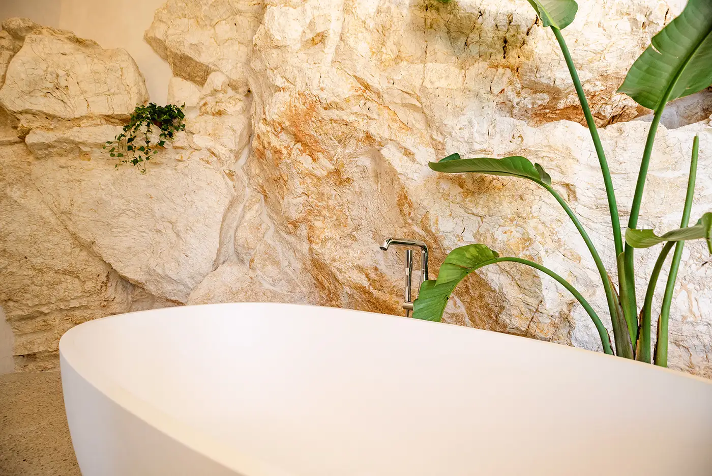 rizes suite canonas constructions 8